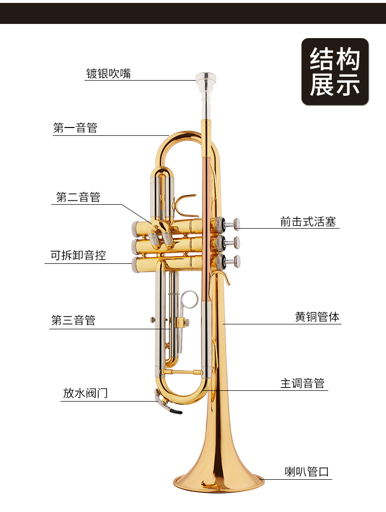 Starway斯达威黄铜小号专业演奏级降B调儿童成人管乐队乐器小号详情12