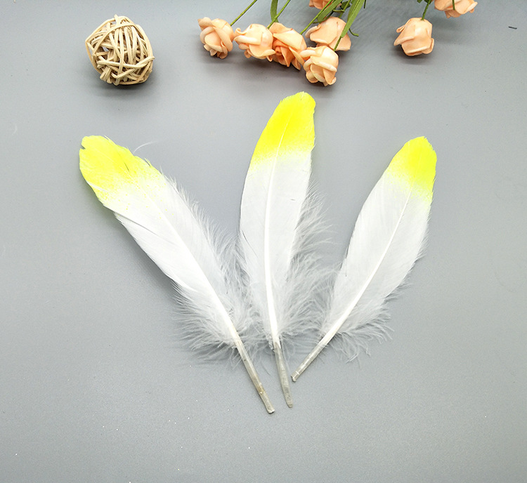 A large quill feather gift box with all-gold and all-silver feathers, paper card bookmarks and decorative quill pens pic 26