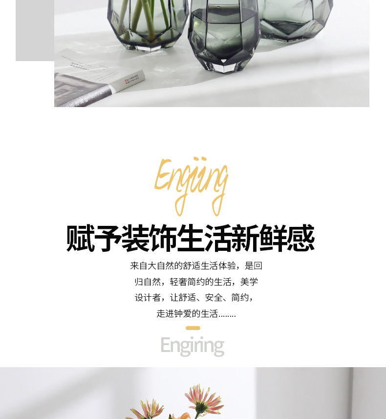 A popular Nordic minimalist creative glass vase, transparent water-grown flower arrangement, rose and lily vase, a living room decoration for home use pic 6