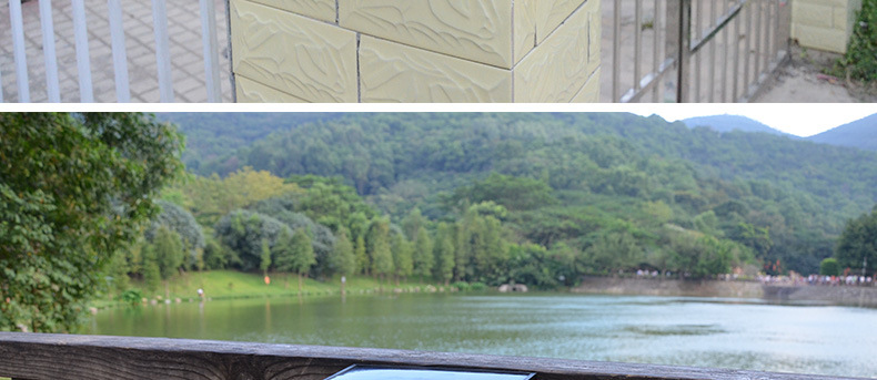 Cross-border solar landscape light, outdoor courtyard human body sensor light, led solar wall lamp N768 pic 17