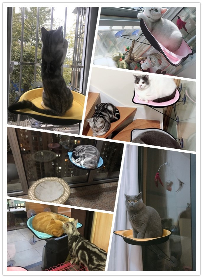Cat bed, hammock, cat bed, suction cup hanging bed, window glass hanging EVA cat house, four-season pet supplies pic 5