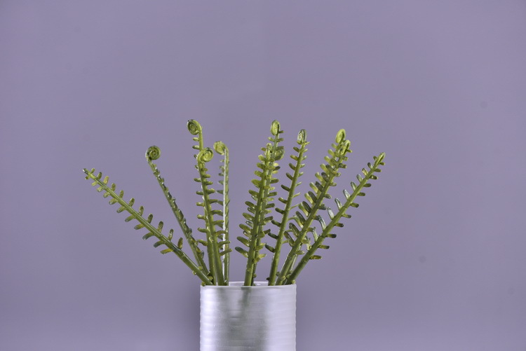 Factory direct sales of artificial green plants wholesale, artificial fern leaves, peacock fern, home banquet, homestay, wedding artificial plants, Lanjin artificial ferns pic 11