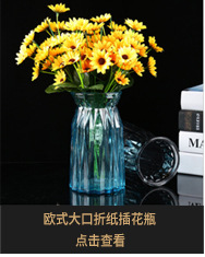 Simple transparent glass vase, two-color diamond, fresh and delicate flower arrangement, retro colorful craft display piece pic 4