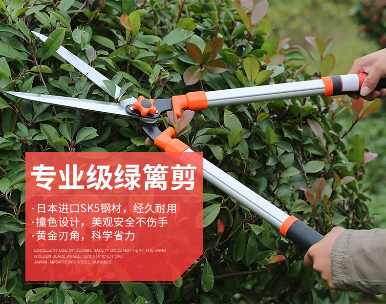 金聚丰绿园艺伸缩绿篱剪粗枝剪高枝修枝剪果树枝绿化花艺园林工具详情1