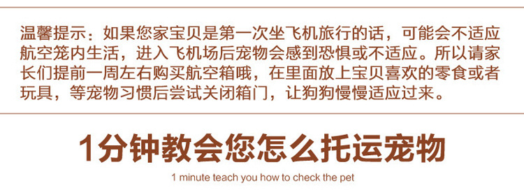 Customized portable pet cages, dog air cages, cat large, medium and small air boxes from manufacturers pic 13