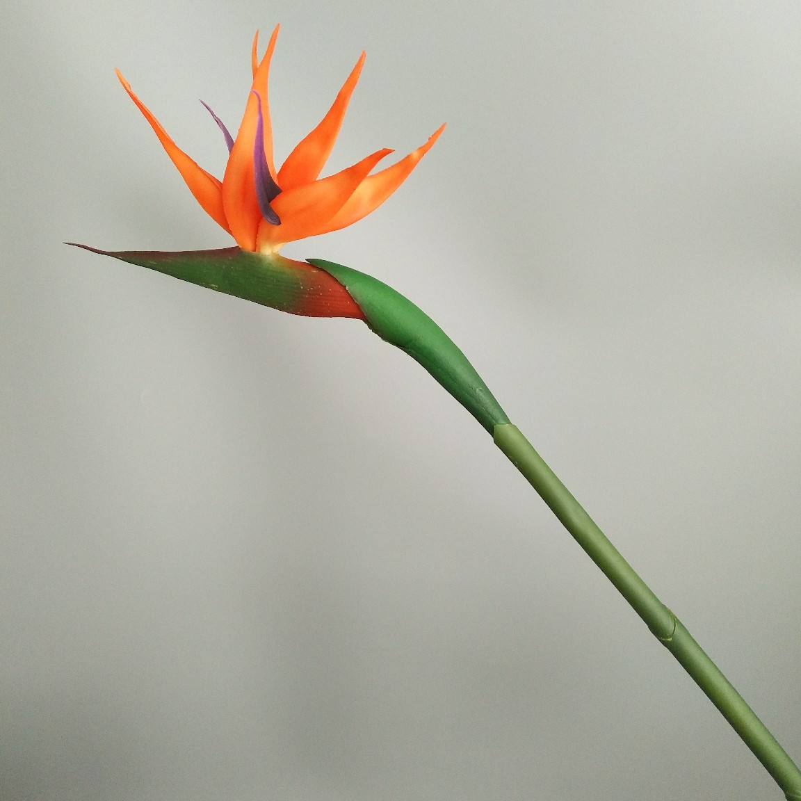 Soft rubber paradise Bird Crane Orchid New Chinese-style home model room decoration design, overseas wedding photography artificial flower pic 29