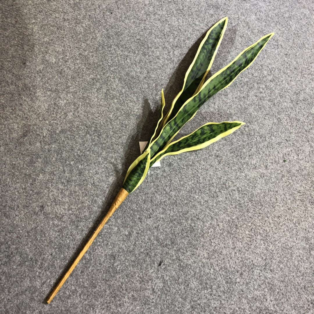 Simulated tiger skin lily, desert plant, simulated agave, single tiger skin lily, yellow-edged tiger skin lily, Phalaenopsis leaves pic 13