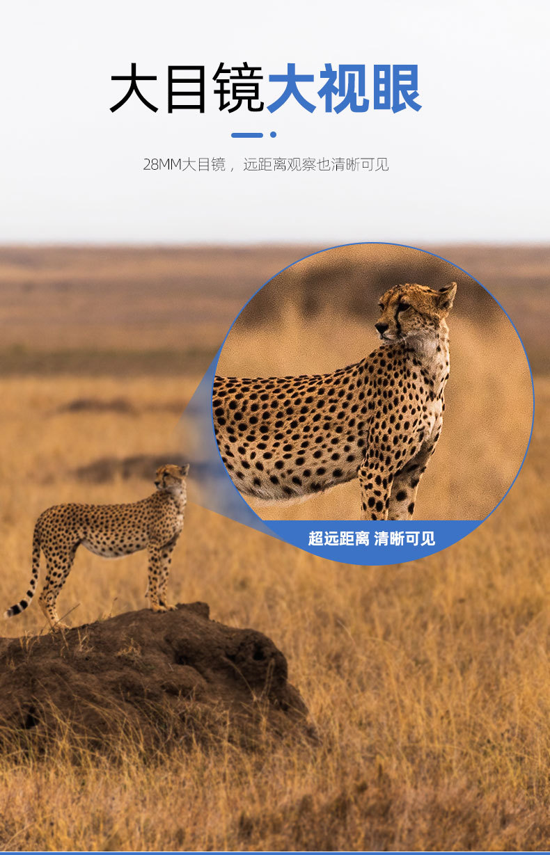 Wholesale Blade 20X50 binoculars, high-power high-definition low-light night vision outdoor portable 8x mobile phone binoculars pic 9