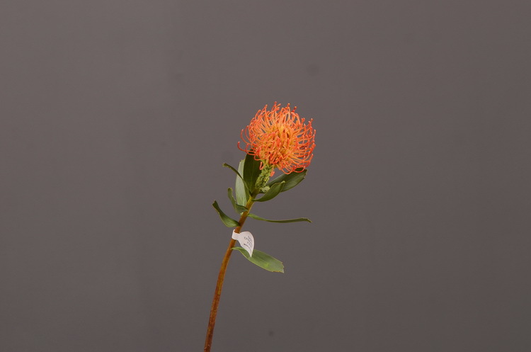 Factory direct sales, wholesale of in-stock inventory of artificial large needle cushion flowers, artificial flower sets, wholesale of living room, dining table, entrance hall, desktop decoration, flower arrangement and ornaments pic 36