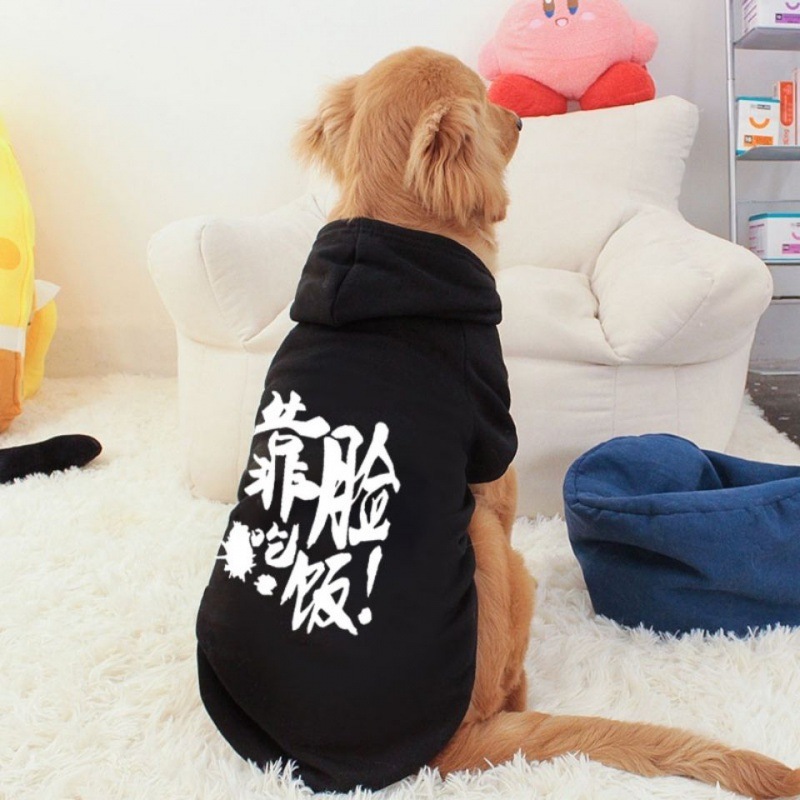 金丝熊宝宝用品仓鼠粮食五谷粮鼠粮饲料鼠小宠用品套餐零食和主食详情9