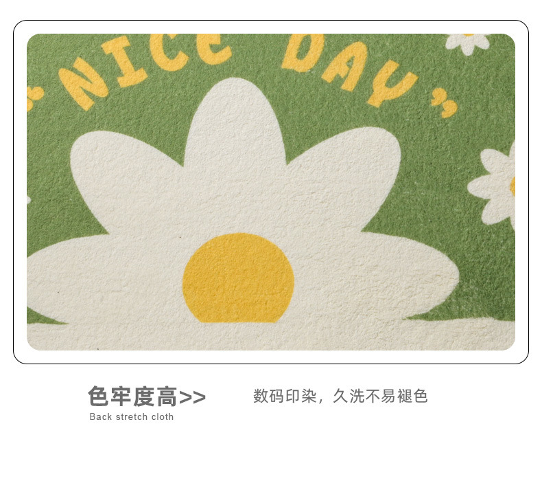 一件代发包邮卫生间厕所吸水地垫脚垫 浴室洗手间防滑垫 进门入户详情18