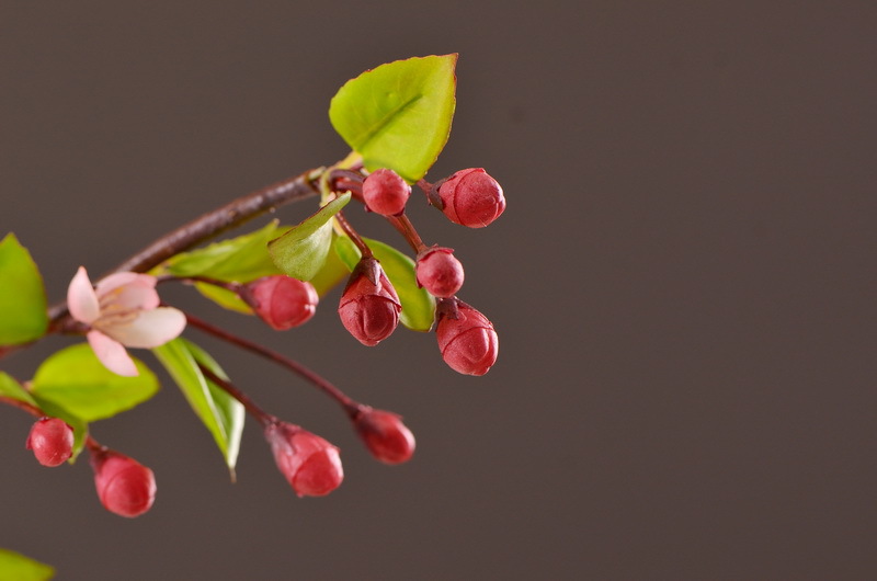 Dongli Flower Industry, the original manufacturer, offers wholesale of high-end artificial flowers, pendulous crabapple, home decoration sample rooms, photography props, and one-piece consignment of crabapple flowers pic 12