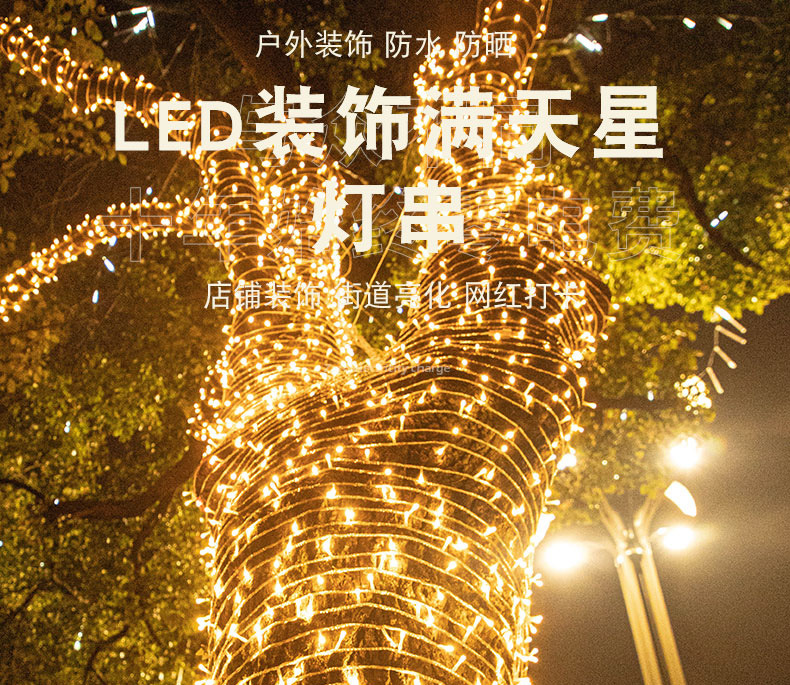 户外防水LED彩灯闪灯串灯满天星七彩氛围灯卧室装饰树灯瀑布灯带详情14