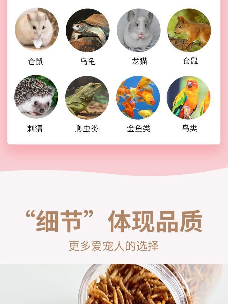 宠物零食面包虫干仓鼠刺猬粮食小龟粮用品主粮鸟零食厂家直销批发详情7