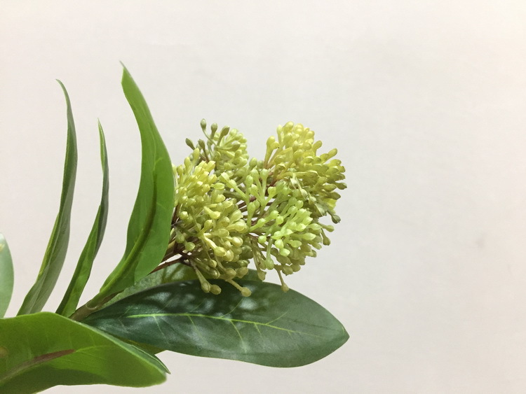 Dongli Flower Industry Factory offers direct sales and wholesale of indoor artificial green plants, home artificial flowers, cloves, bean branches, soft gum fruits, seeds and branches pic 17