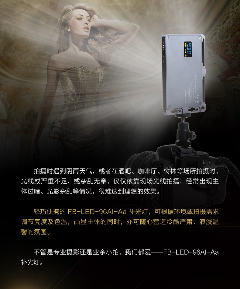 FB Fengbiao 96AI fill light, LED photography light, portable small lighting, film and television light, built-in battery pic 2