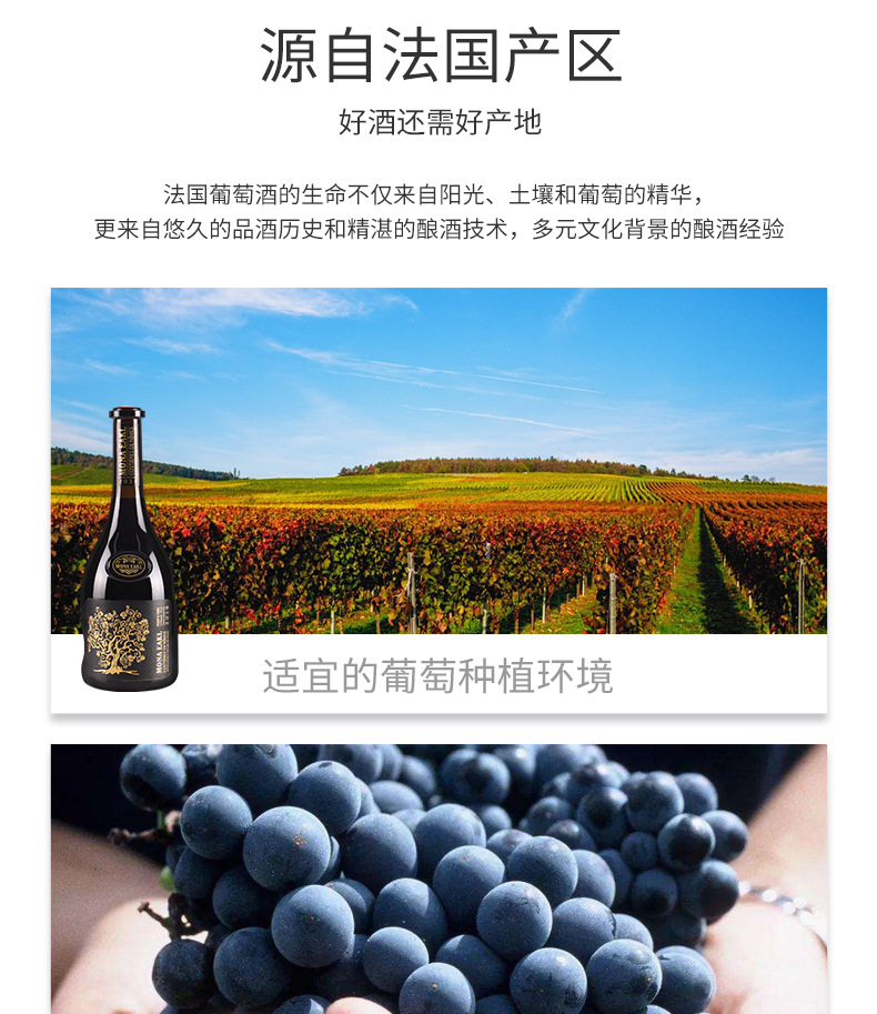 法国进口红酒15度高度干红葡萄酒整箱批发直播代发厂家酒水招商详情3