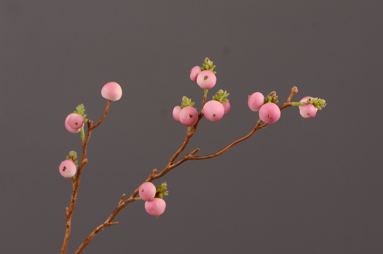 Dongli Wholesale Factory Director Direct sales of artificial ginkgo nuts, artificial flowers, wholesale of artificial flowers, home decorations, living room and dining room flower arrangements, flower art, artificial berries and fruits, one-piece consignment pic 10