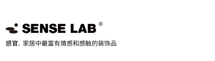 公寓客厅地毯2024新款卧室地垫秋冬免洗大面积打地铺轻奢高级可擦详情12