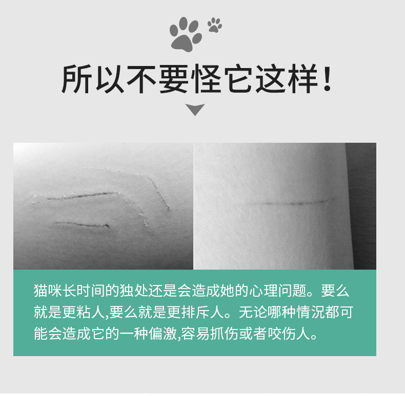 USB直充不锈钢迷你充电手电激光图案紫光逗猫棒猫癣自嗨猫咪用品详情6