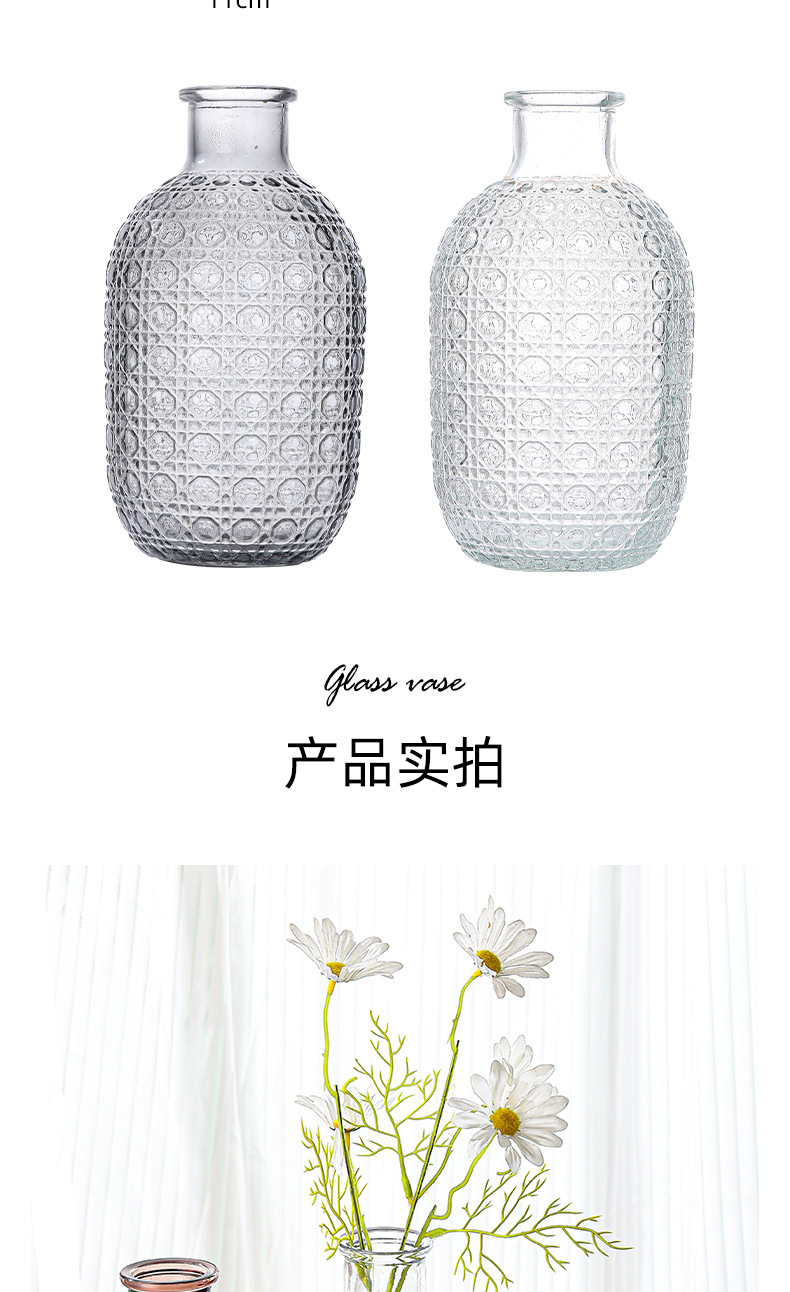 跨境新品 欧式风格 玻璃花瓶 ins风格 客厅桌面水养 插花瓶 创意装饰花瓶 水培摆设 其他分类详情9