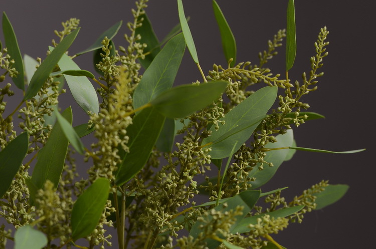 Dongli Flower Industry Decoration Green Nordic Home Artificial Flower Plants Wholesale Flower arrangement materials Artificial leaves, small branches with fruits eucalyptus leaves pic 8