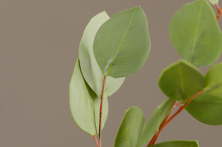 Dongli Flower Industry, the original manufacturer, offers direct sales of green plants in stock, wholesale of artificial leaves, round leaves with fruits, eucalyptus leaves, eucalyptus leaves, and one-piece consignment pic 15