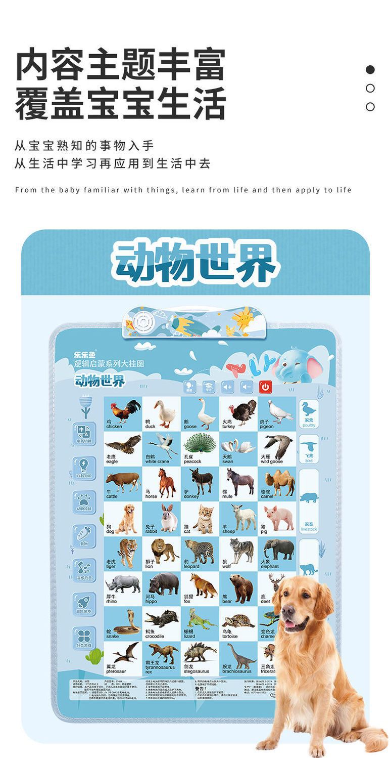 幼儿童拼音字母表贴墙宝宝有声早教挂图神器启蒙识图认知发声玩具详情7