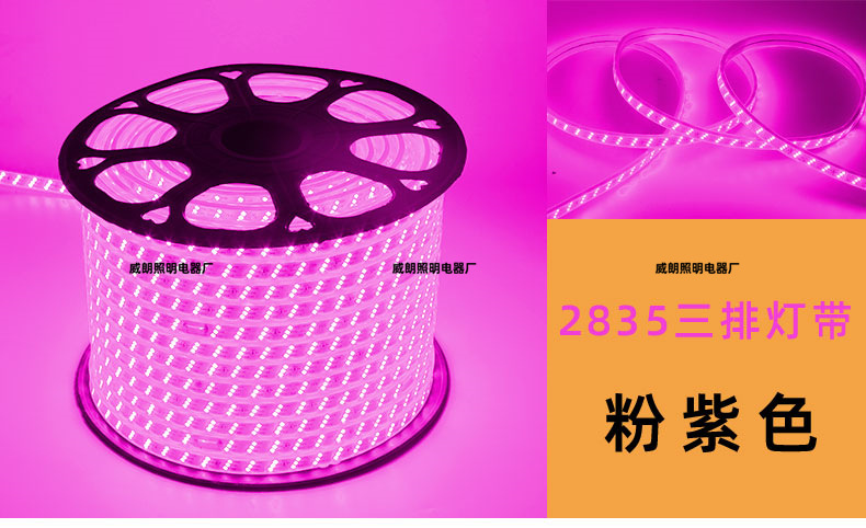 Высокое давление 5050/rgb2835 неоновая водонепроницаемая 220v мягкая силиконовая лампа с оптовой внешней полосой 5730 pic 14