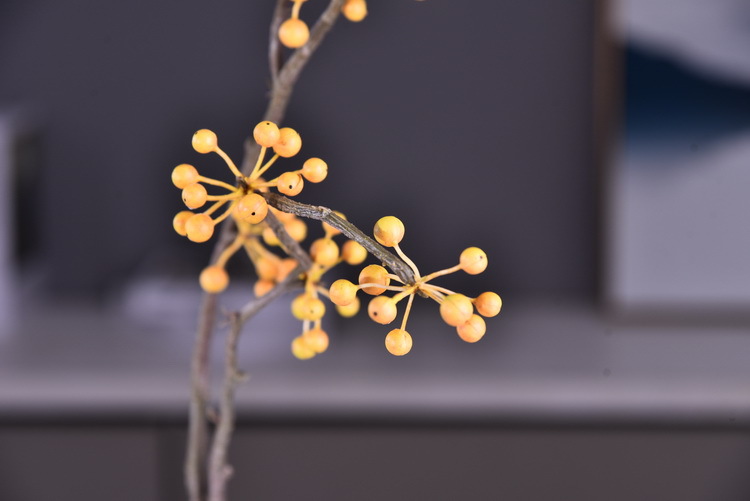 Lanjin Artificial Fruit Factory Direct Sales, wholesale of artificial berries, artificial green vine fruits, Chinese modern and simple decoration, winter green fruits, and mountain prosperity fruits pic 27