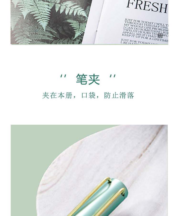 蓝孔雀秋色钢笔朋友生日钢笔套装墨水2瓶铱金笔练字书法 创意礼物详情9