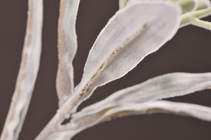 Dongli Flower Industry Factory Direct sales, wholesale of artificial flowers and fake flowers, 2-fork-scented green leaves, home decoration sample rooms, photography fake flower ornaments, one-piece consignment pic 14