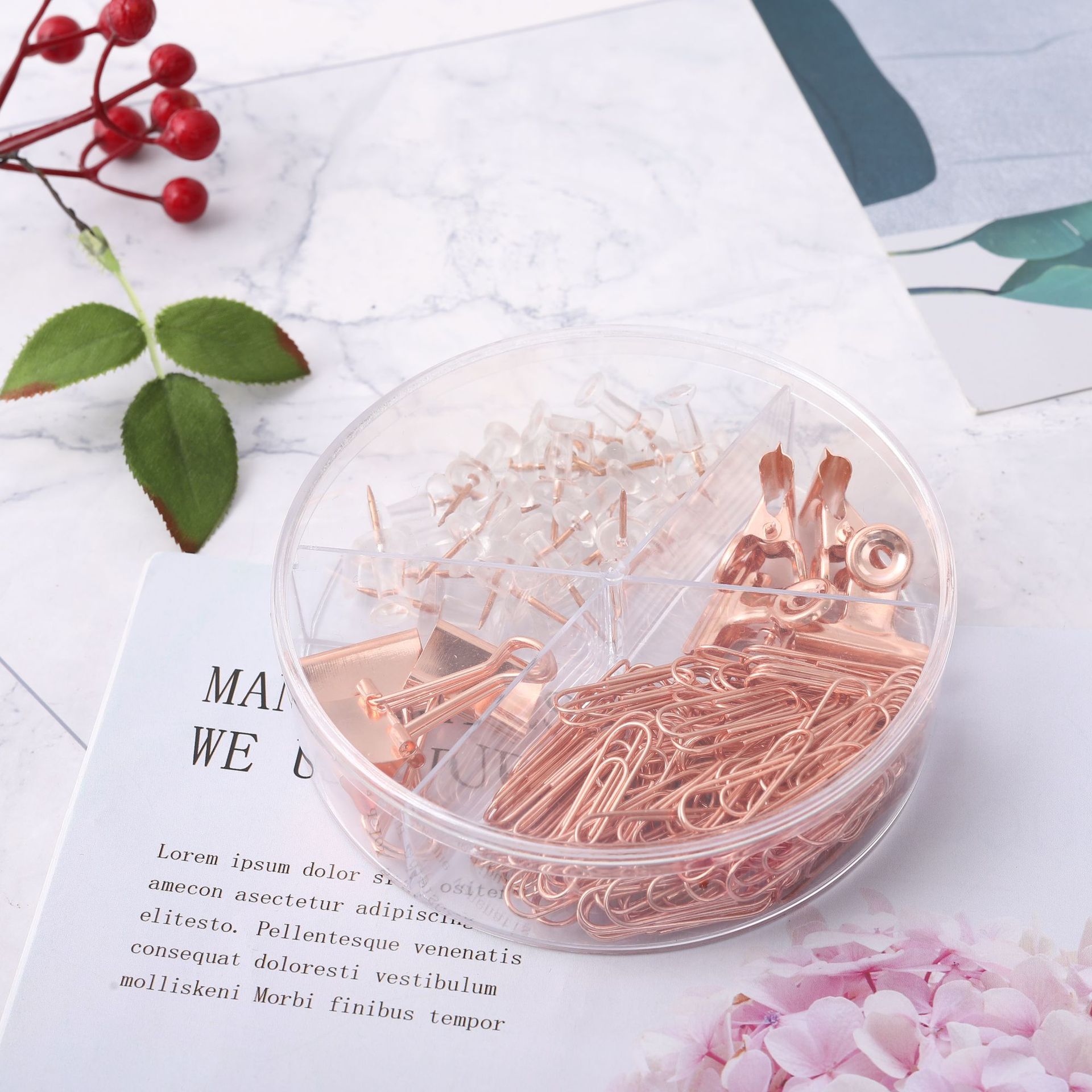 Cross-border direct supply 19mm rose gold long-tail clip paperclip storage set, multi-functional I-shaped nail receipt holder combination pic 11