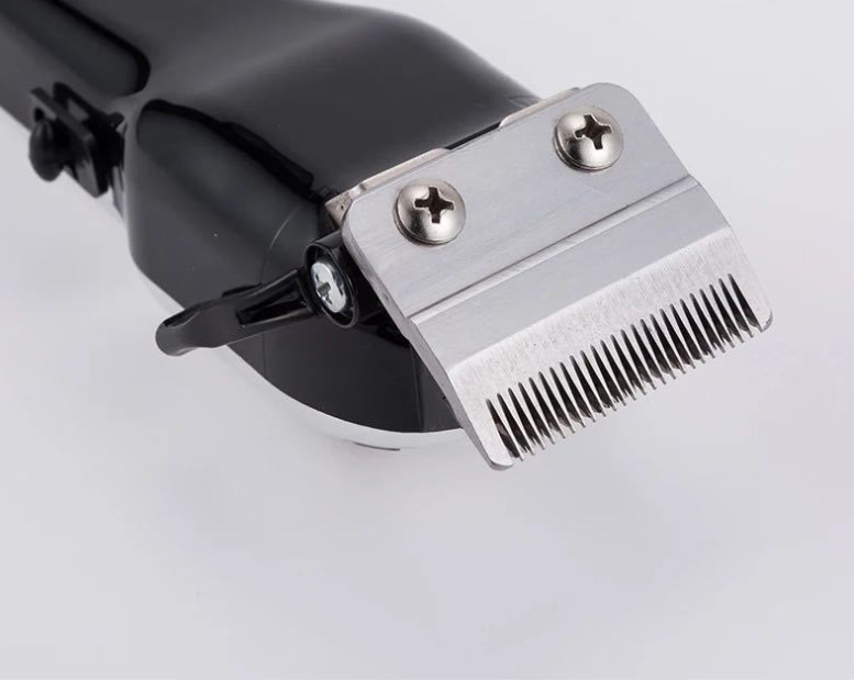 微信截图_20230419111131