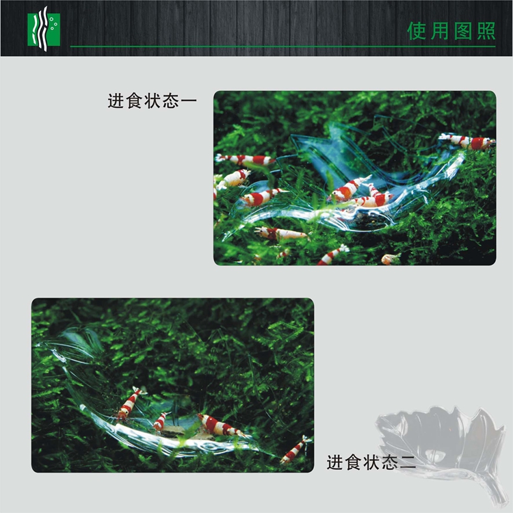 Leaf-shaped crystal shrimp feeding basin, acrylic feeding basin, ornamental shrimp feeder, feeding basin, feeding tube, shrimp food tray pic 5