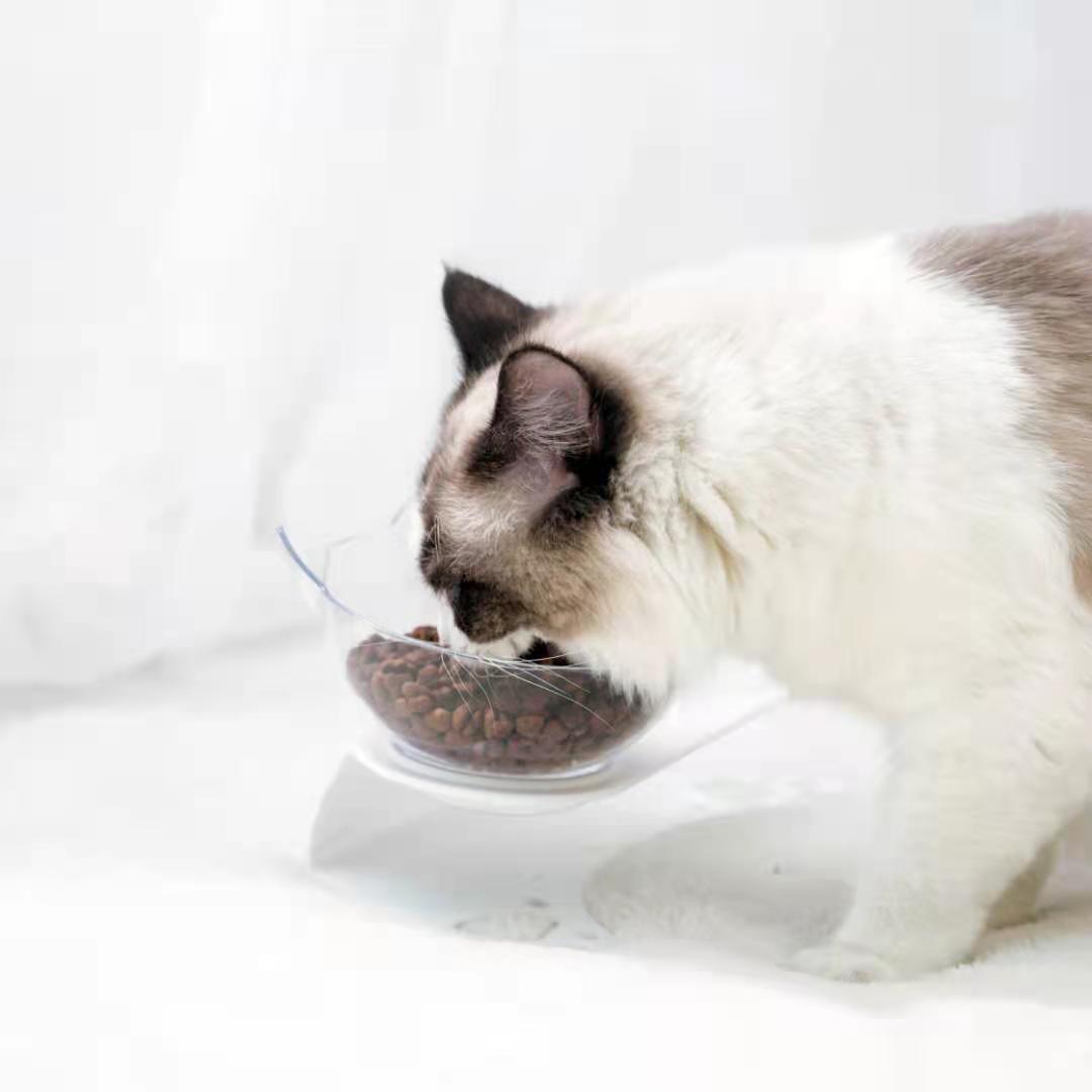 Pet bowl, cat neck guard, transparent tilted cat face, double bowl, dual-purpose, splash-proof dog food set in stock pic 6