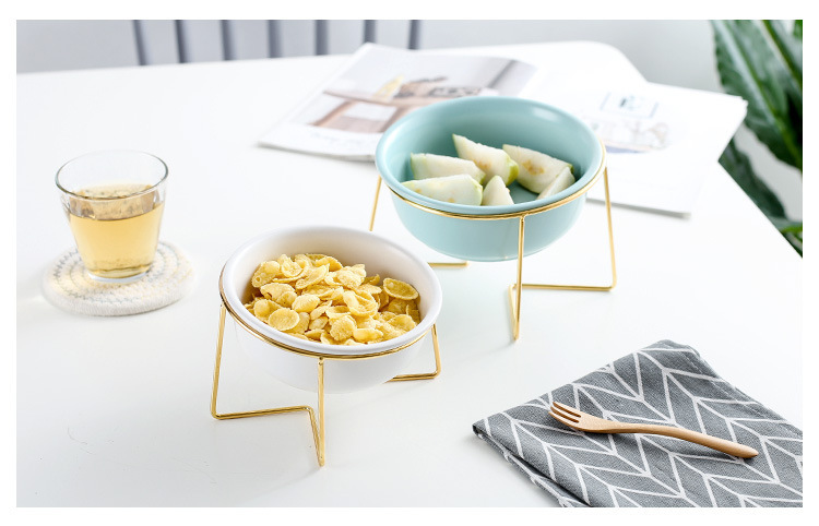 Nordic creative home ceramic pet bowls and food bowls with metal frames that are disassemblable and easy to clean pic 2