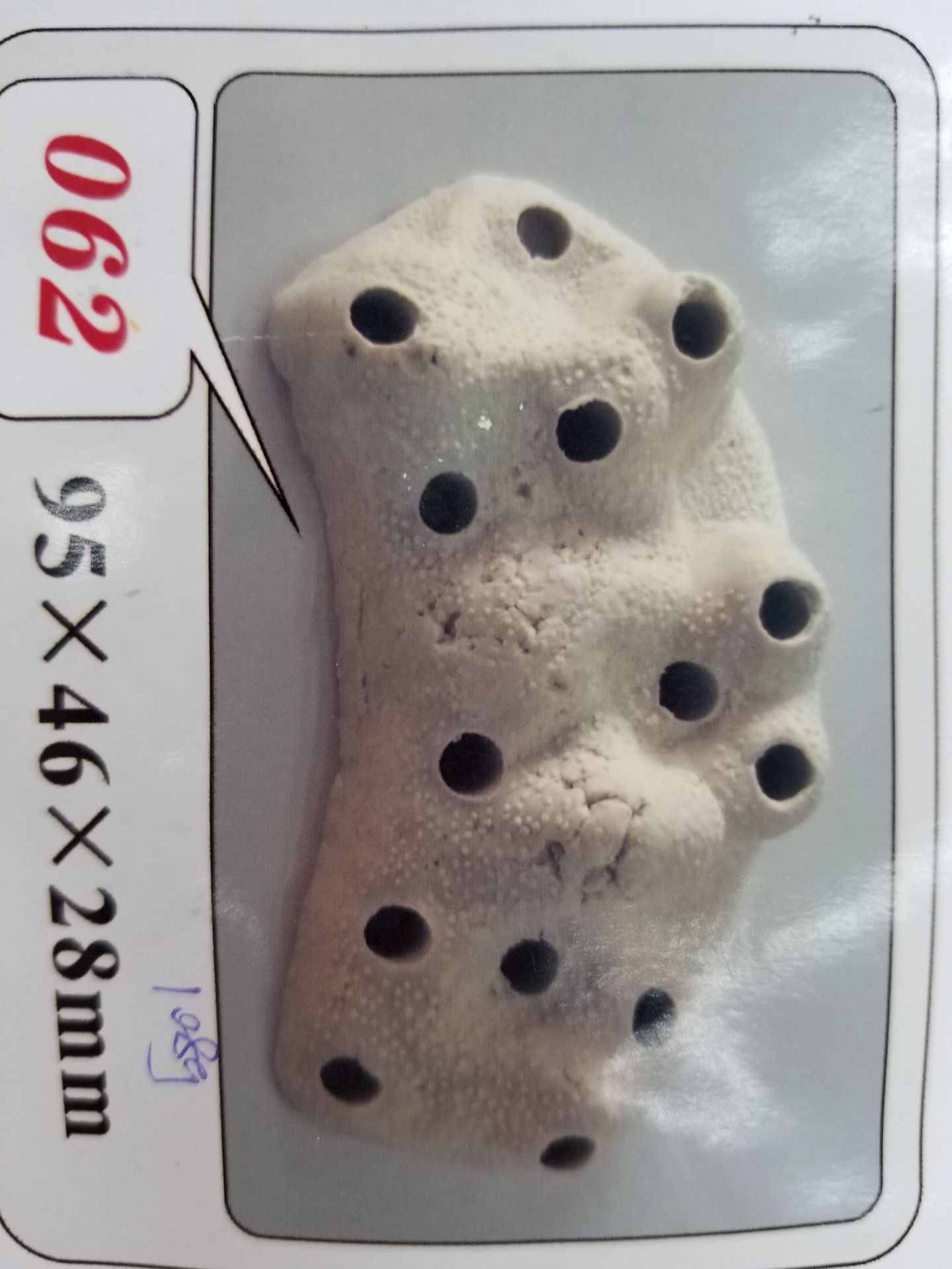 Baojie Aquarium Base, simulation aquatic plant base, fish tank aquatic plant base, ceramic base manufacturer wholesale pic 68