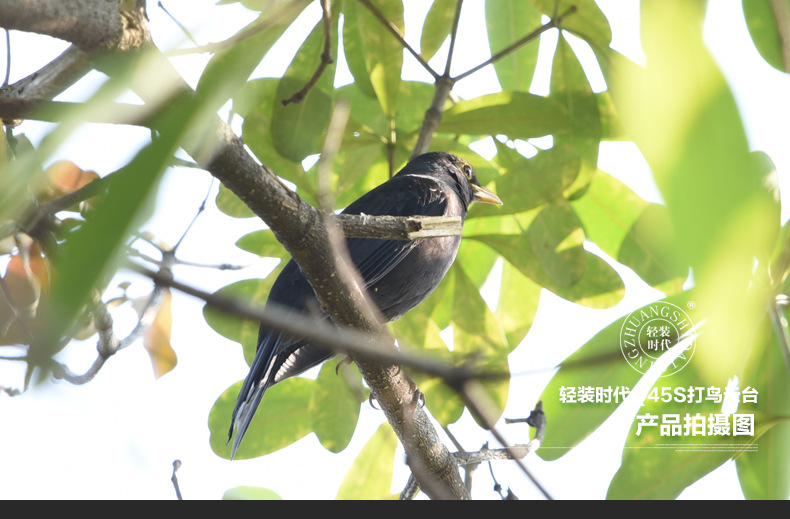 Q45 Professional panoramic boom gimbal, a dedicated telephoto lens for bird watching and shooting pic 12