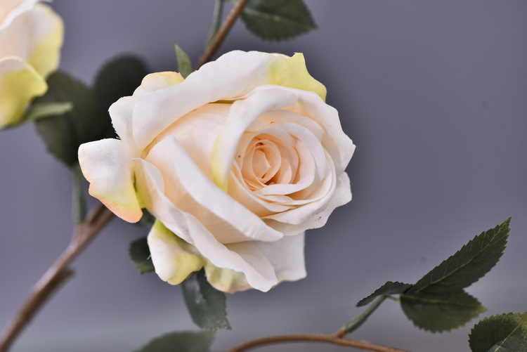 Factory wholesale of 5-head simulated rose with charred edges, retro Greek rose, living room, hotel and homestay photography props rose pic 33