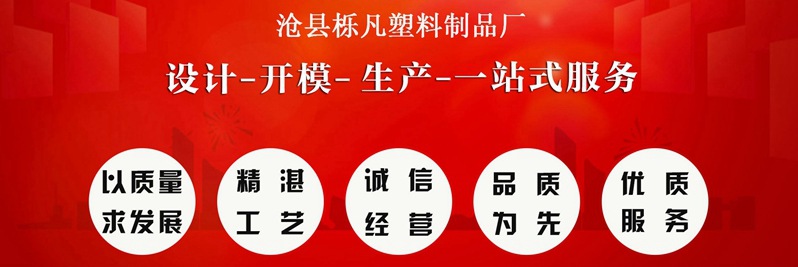 500毫升糖果色塑料喷壶 小喷壶 彩色喷水壶500ml浇花喷雾壶批详情1