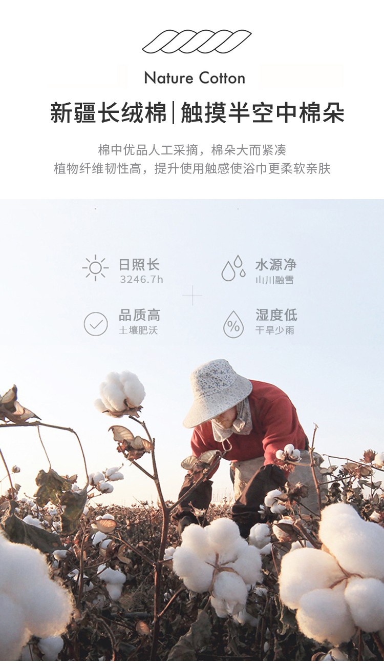 O1CN012t3YuN1QWiT89suFw_!!2048