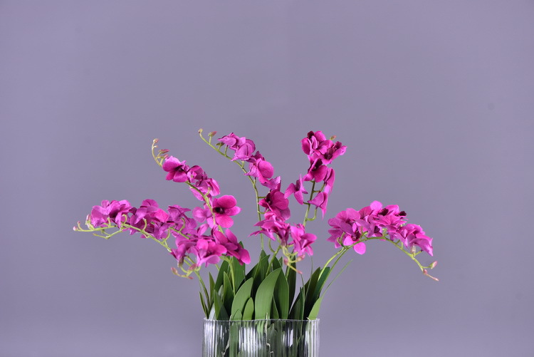 Factory direct sales of high-end artificial dendrobium, wholesale of artificial flowers with leaves, home decoration of Phalaenopsis and Lanjin artificial plants pic 37