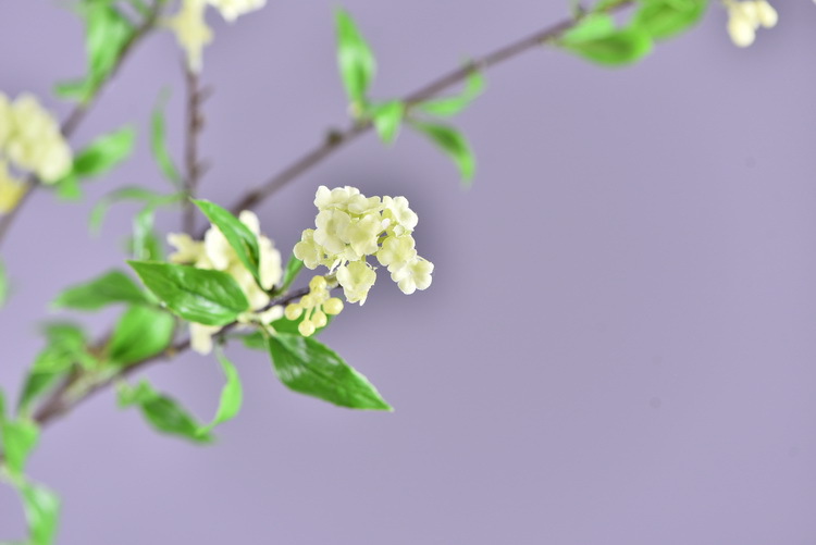 Factory direct sales of high-end artificial handballs, high-end artificial snowball flowers wholesale, modern and simple ins popular decorative artificial flowers pic 19