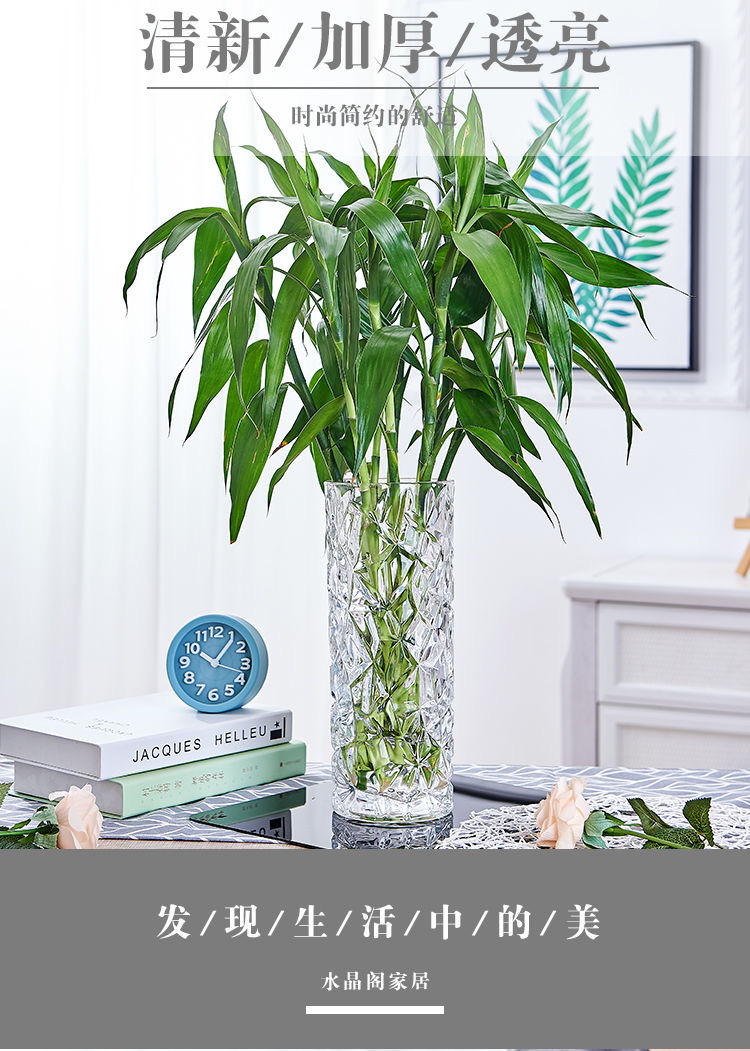 Yuxing Glass Large Glass Vase, transparent hydroponic decorative vessel, home living room lily and rose flower arrangement, hydroponic plant container pic 6