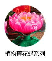 白色小蜡烛2小时4小时100粒茶蜡保温蜡烛煮茶热菜无烟蜡烛浪漫烛详情11