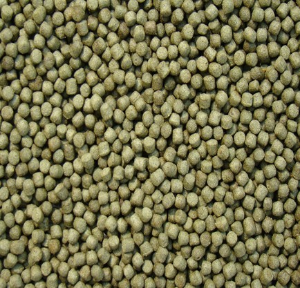 We supply new tropical fish feed, various fish grains, koi fish feed and ornamental fish feed pic 7