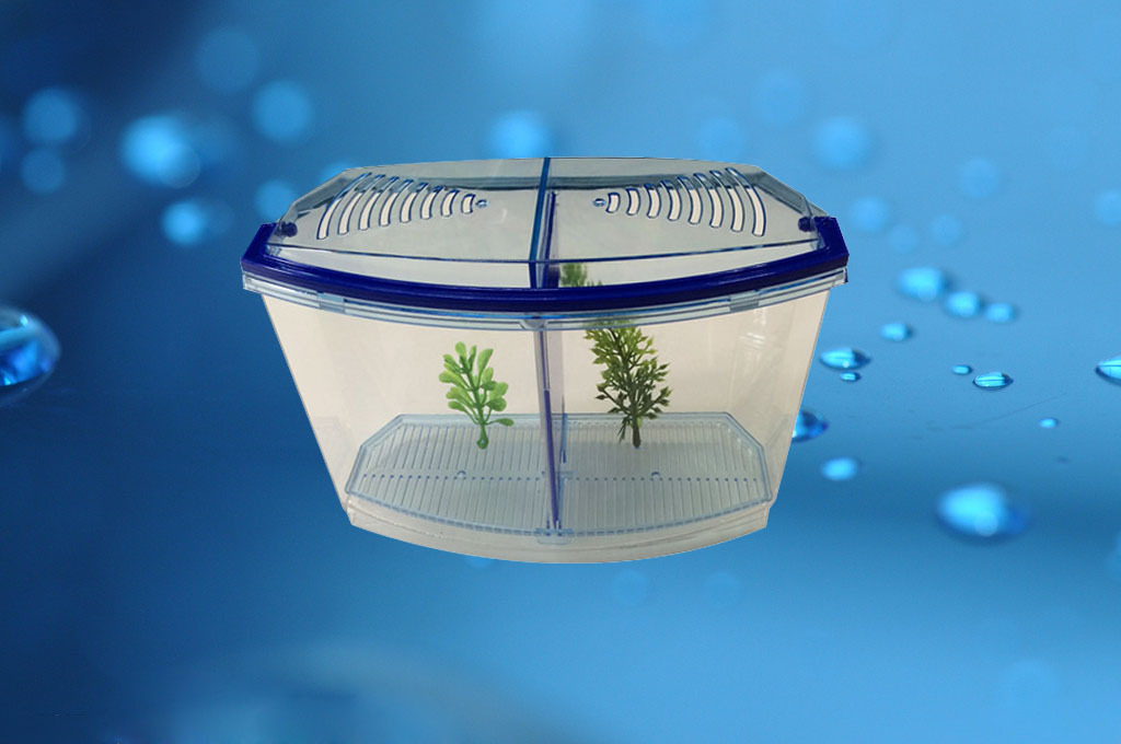 Wholesale supply of plastic fish tanks, betta cups, double-tank betta boxes, hatching boxes, and small pet turtle tanks pic 13