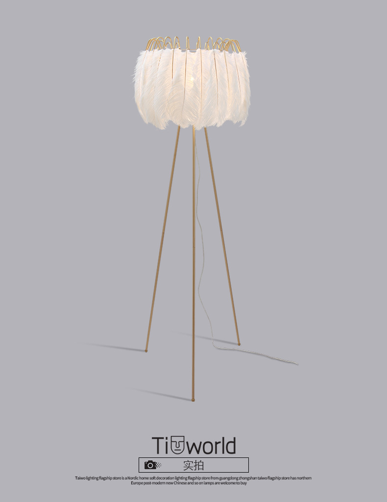 Factory direct sales, popular American-style feather floor lamps, princess bedroom ostrich feather lamps, light luxury European-style living room floor lamps pic 24