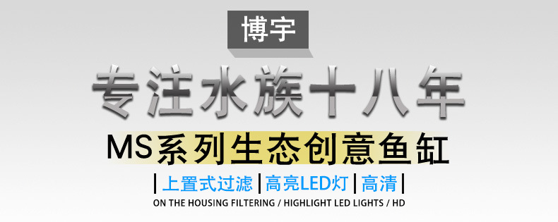 Wholesale BOYU fish tank aquarium mini office small glass fish tank MS series white pic 9